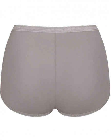 Culottes Basic + Maxi (Lot De 4) Sloggi (Gris/Marron/Rose/Vert) 8 Culottes Basic + Maxi (Lot De 4) Sloggi (Gris/Marron/Rose/Vert) – Image 6