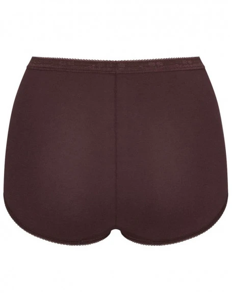 Culottes Basic + Maxi (Lot De 4) Sloggi (Gris/Marron/Rose/Vert) 9 Culottes Basic + Maxi (Lot De 4) Sloggi (Gris/Marron/Rose/Vert) – Image 7