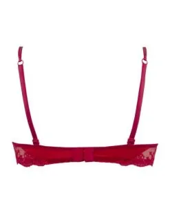 Soutien-gorge Corbeille Lise Charmel Splendeur Soie (Splendeur Rouge) -Culottes importe boutique soutien gorge corbeille lise charmel splendeur soie splendeur rouge 5