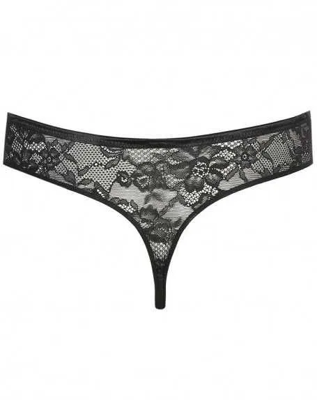 String Prima Donna Arau (Noir) 7 String Prima Donna Arau (Noir) – Image 5